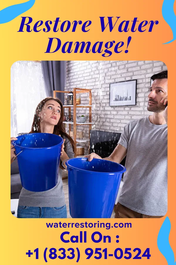 water restoration Citywide Sewage Cleanup Inc Hedgesville