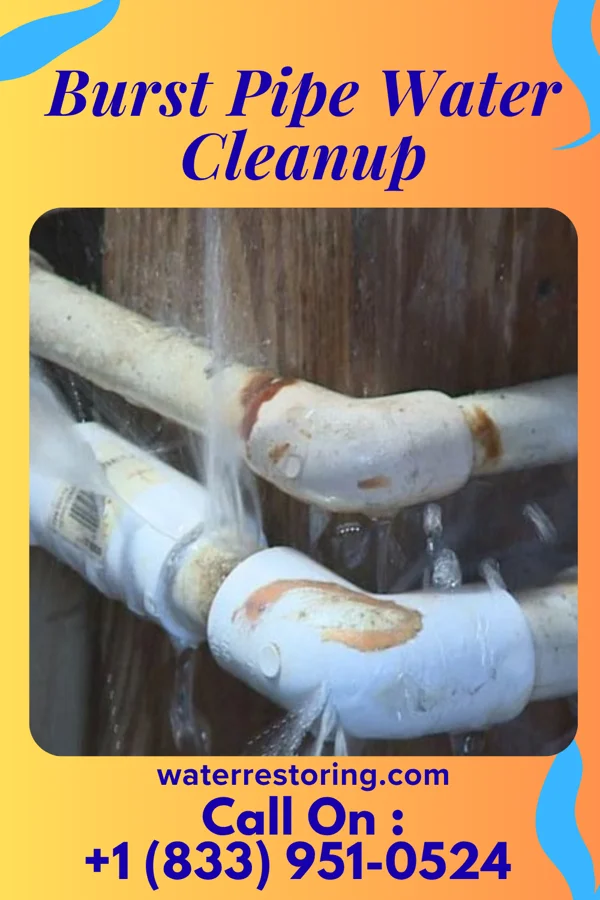Burst Pipe Water Cleanup in Hedgesville, WV