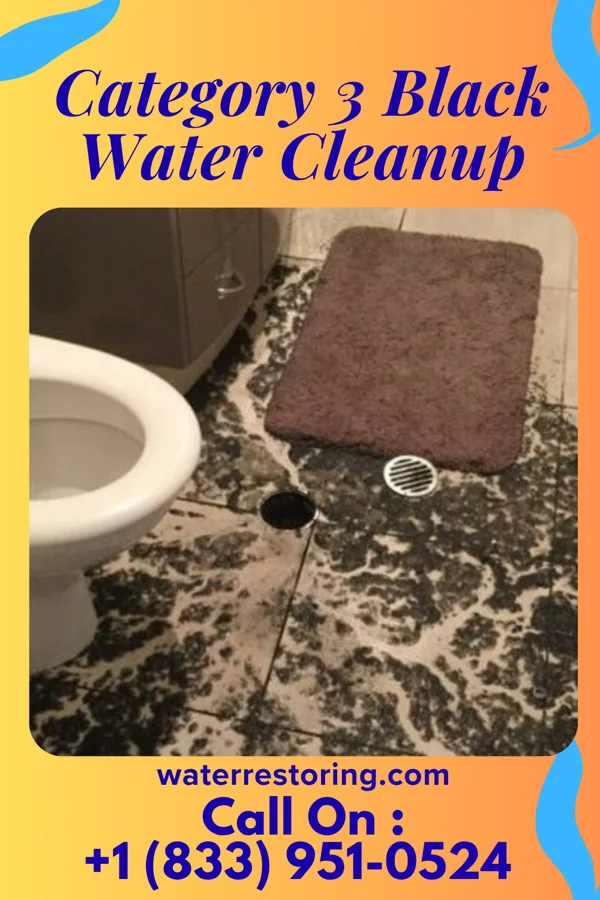 Category 3 Black Water Cleanup in Hedgesville, WV