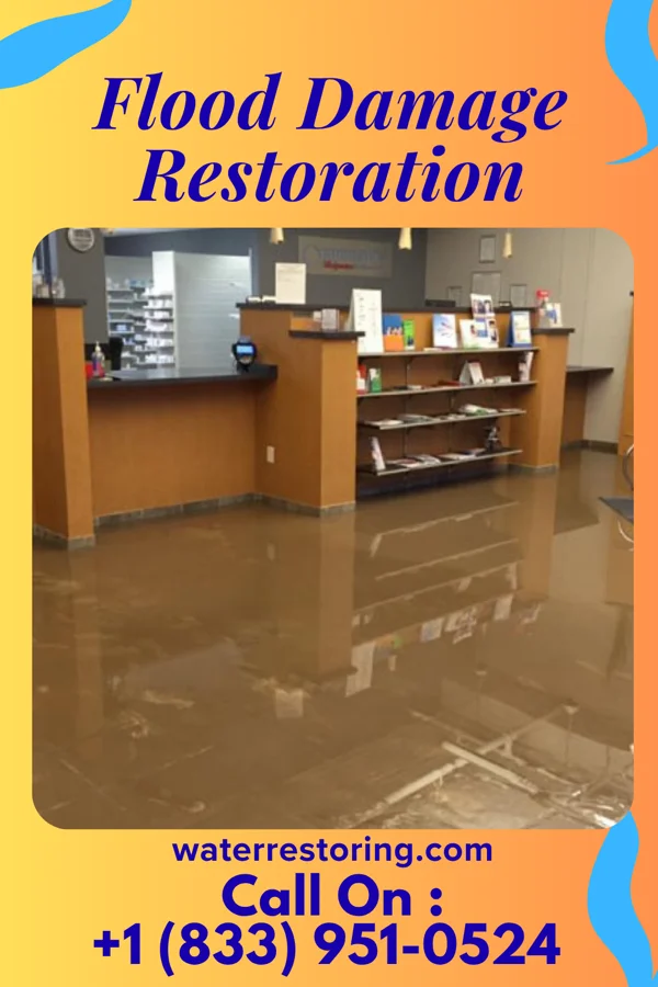 Flood Damage Restoration in Hedgesville, WV