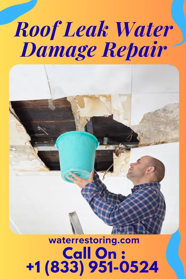Roof Leak Water Damage Repair in Hedgesville, WV