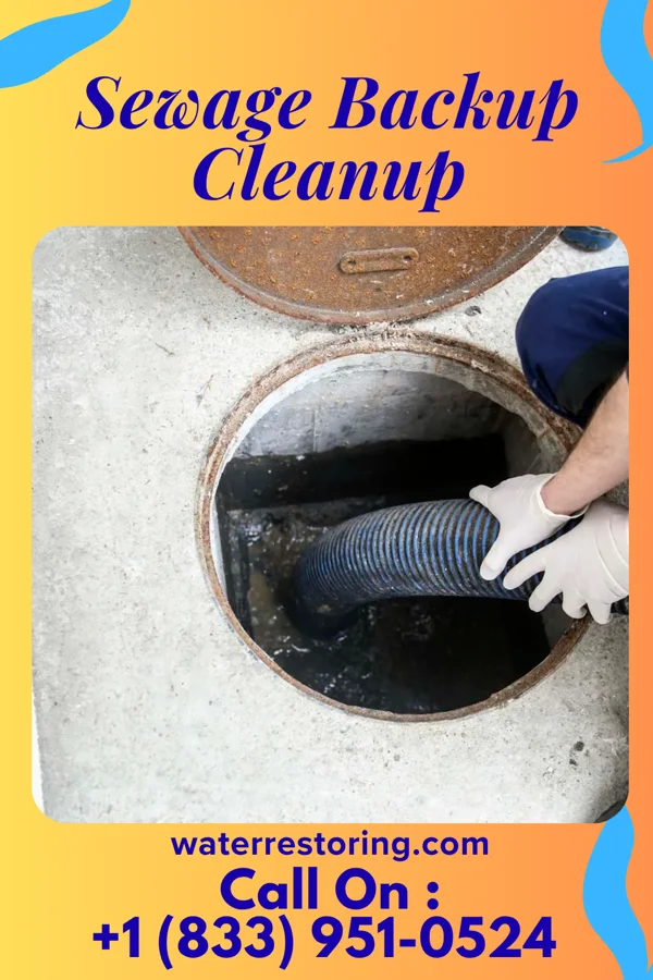 Sewage Backup Cleanup in Hedgesville, WV