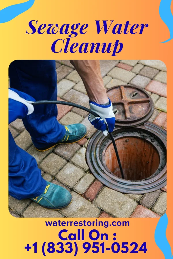 Sewage Water Cleanup in Hedgesville, WV